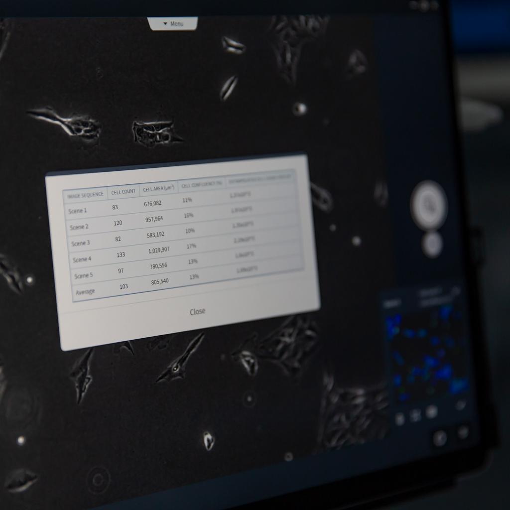 Für besser reproduzierbare Zellexperimente