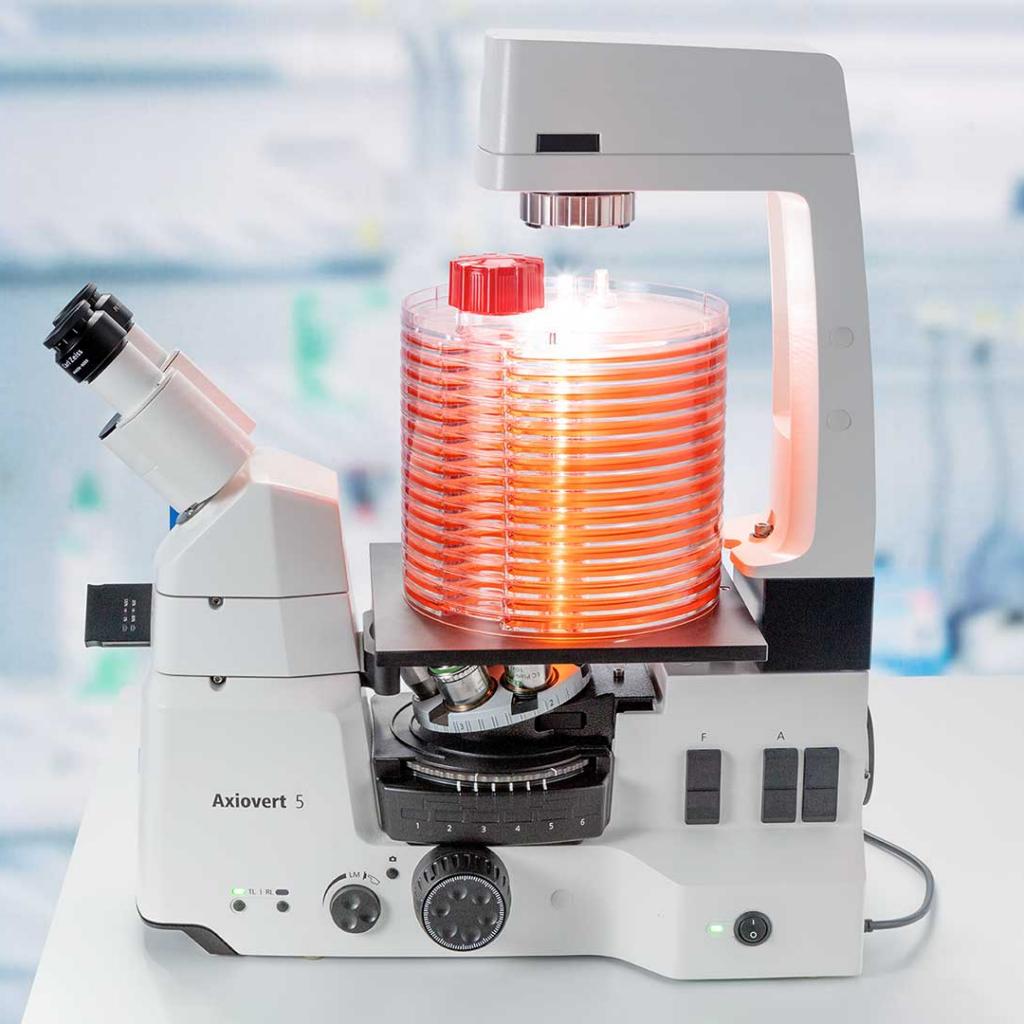 Zeiss Axiovert5 Zellkultur