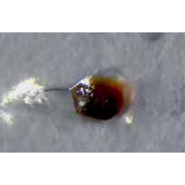 Microscope stéréo zoom Hund Wiloskop-F, avec statif ST-AD LED