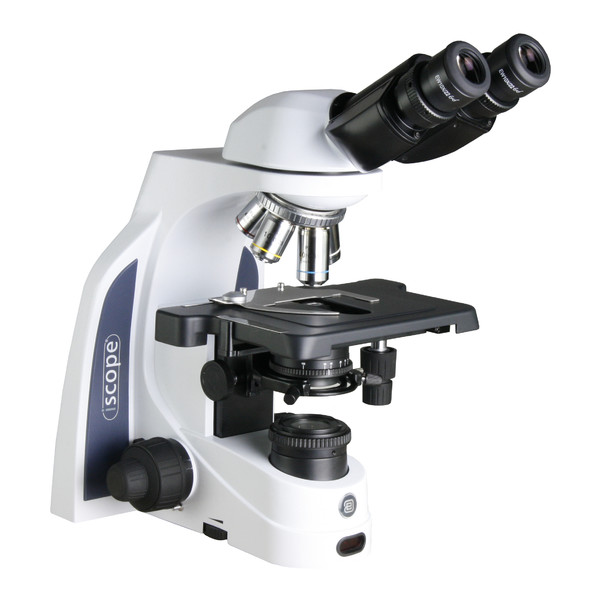 Microscope Euromex iScope IS.1152-PLPHi, bino, PH, infinity, plan, 40x-1000x, iCare, LED