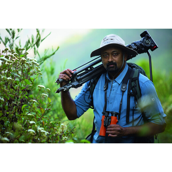 Swarovski Fernglas NL Pure 8X32 Burnt Orange