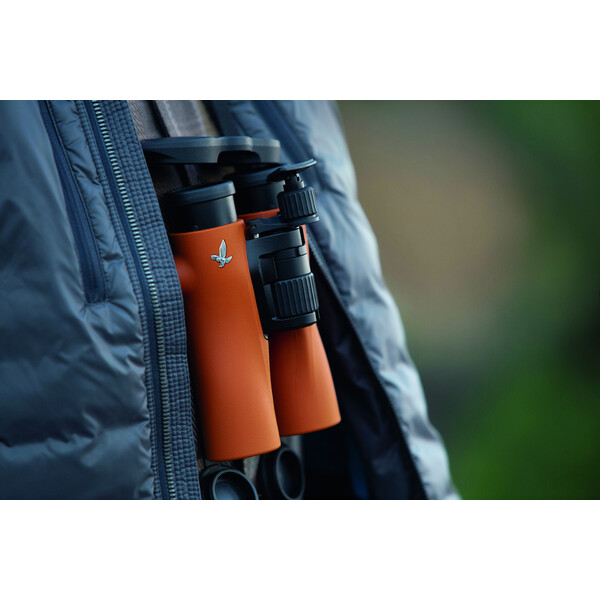 Swarovski Fernglas NL Pure 8X32 Burnt Orange