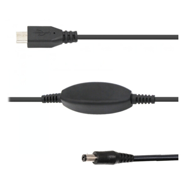 Ikarus Technologies Kabel 12V DC 2.1mm / 5V USB-C