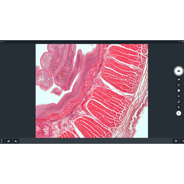 ZEISS Software Labscope 4.5 (Windows) - Download