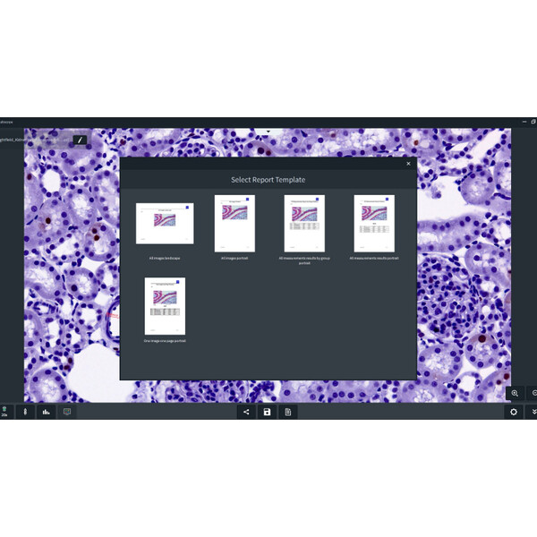 ZEISS Software Labscope 4.5 (Windows) - Download