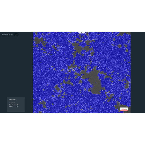 ZEISS Software Labscope Modul AI Cell Confluency DLic