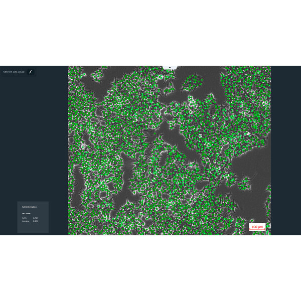 ZEISS Software Labscope Modul AI Cell Counting DLic