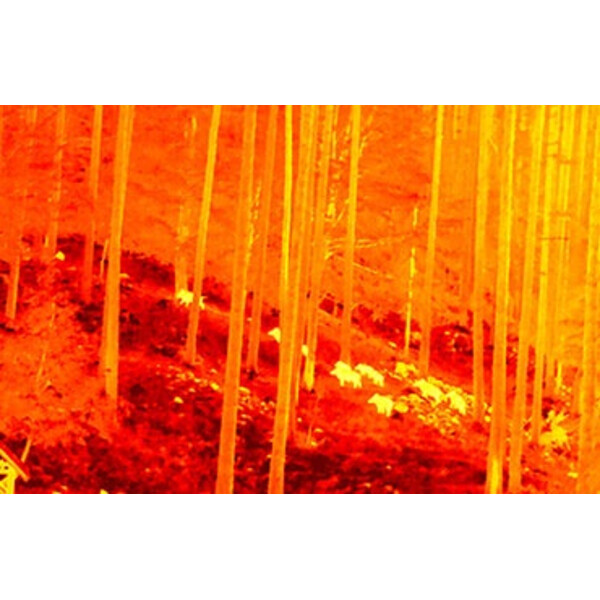 NiteHog Thermalkamera Viper 50 NXT