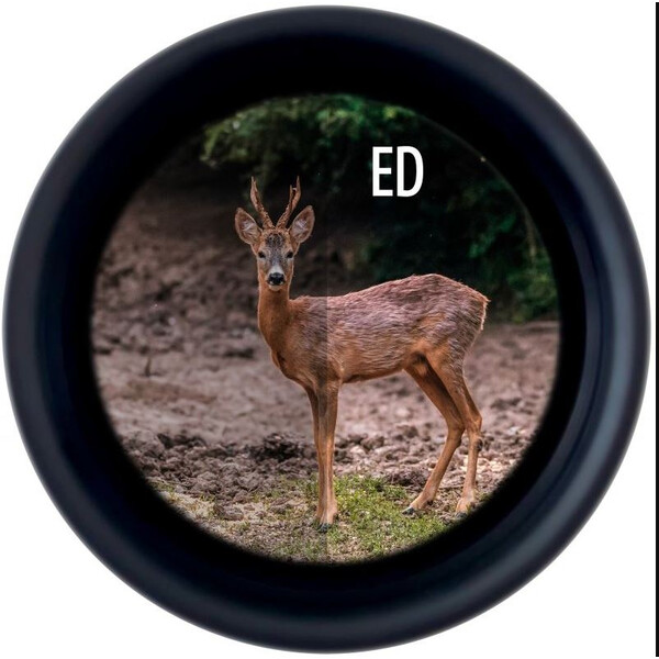 Minox Fernglas X-Tour 8x42