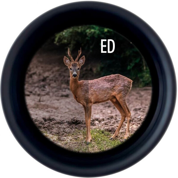 Jumelles Minox X-Tour 10x42