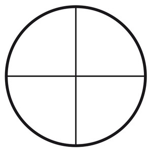 Plaque micrométrique Motic Réticule croisé gradué pour oculaire (Ø25mm)