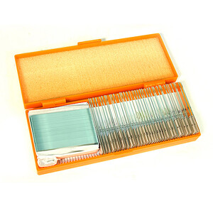 Levenhuk Lames préparées N38 NG