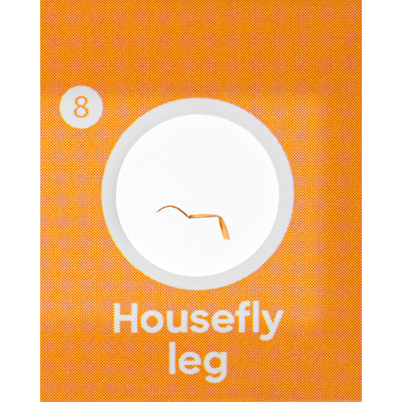 Discovery Lames préparées, lot faune et flore 24