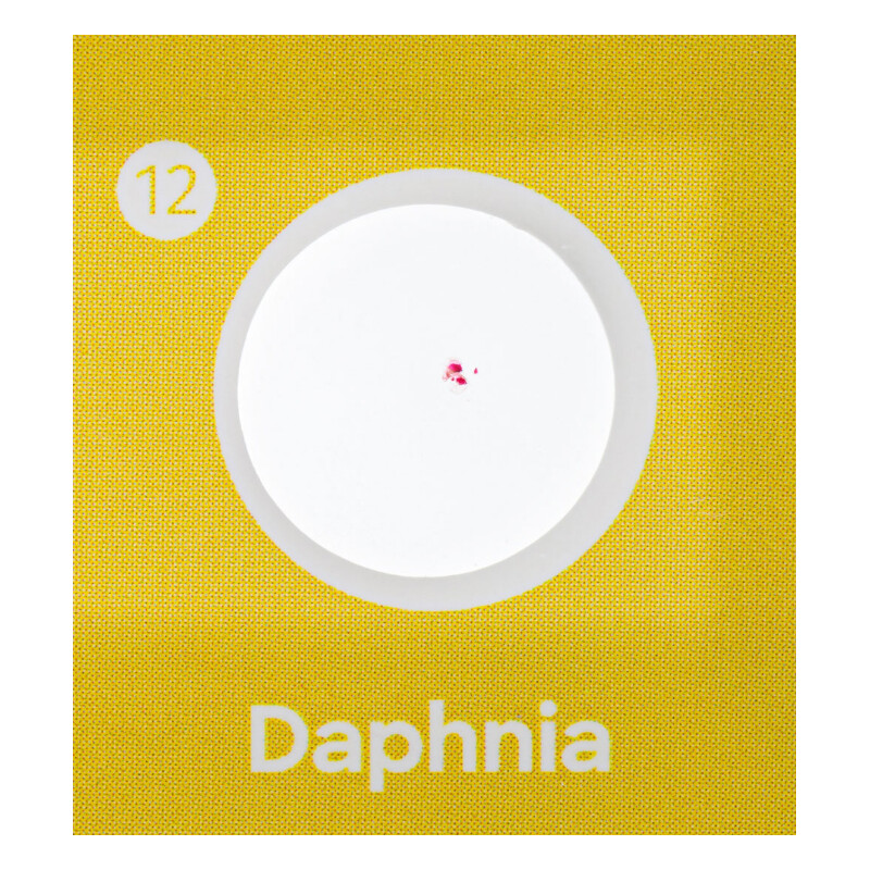 Discovery Lames préparées, lot faune et flore 24