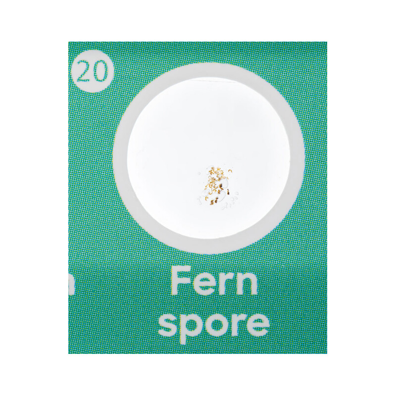 Discovery Lames préparées, lot faune et flore 24