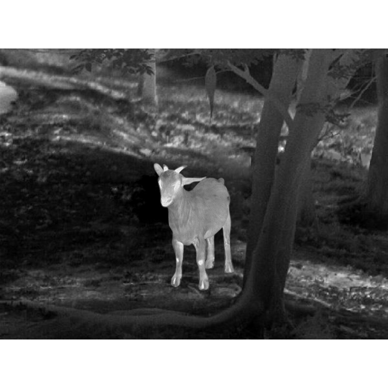 Guide Thermalkamera TD433L