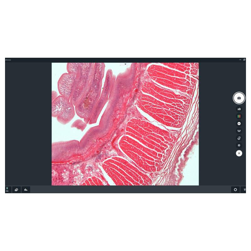 ZEISS Software Labscope 4.5 (Windows) - Download